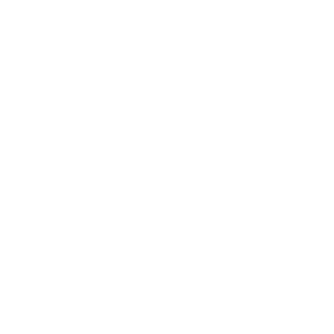 Führerscheinklasse D1: Bus bis 16 Personen